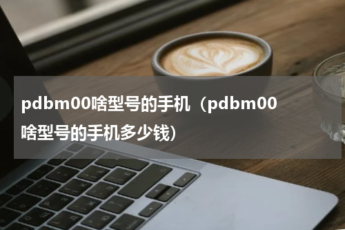 pdbm00啥型号的手机(pdbm00啥型号的手机多少钱)