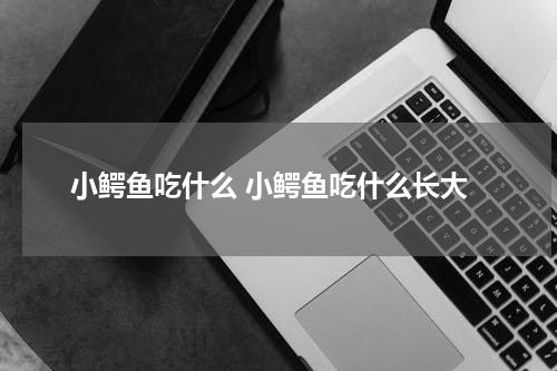 小鳄鱼吃什么 小鳄鱼吃什么长大