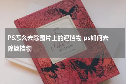 PS怎么去除图片上的遮挡物 ps如何去除遮挡物