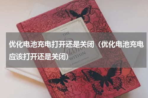 优化电池充电打开还是关闭(优化电池充电应该打开还是关闭)