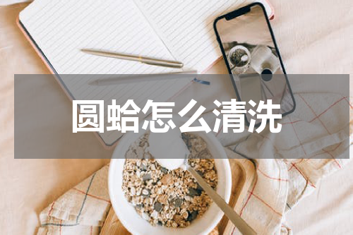 圆蛤怎么清洗