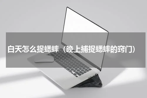 白天怎么捉蟋蟀(晚上捕捉蟋蟀的窍门)