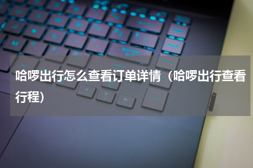 哈啰出行怎么查看订单详情(哈啰出行查看行程)