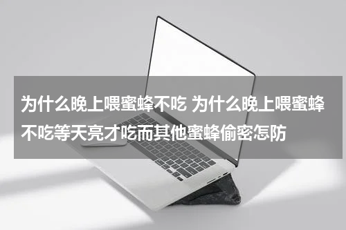 为什么晚上喂蜜蜂不吃 为什么晚上喂蜜蜂不吃等天亮才吃而其他蜜蜂偷密怎防