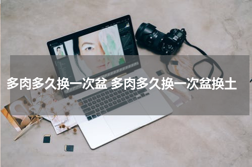 多肉多久换一次盆 多肉多久换一次盆换土