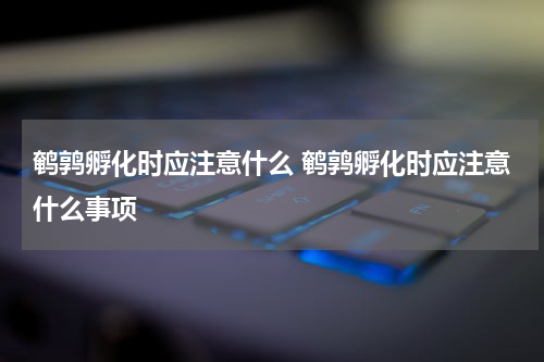 鹌鹑孵化时应注意什么 鹌鹑孵化时应注意什么事项