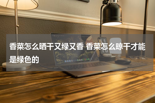 香菜怎么晒干又绿又香 香菜怎么晾干才能是绿色的