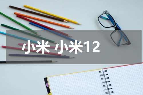 小米 小米12