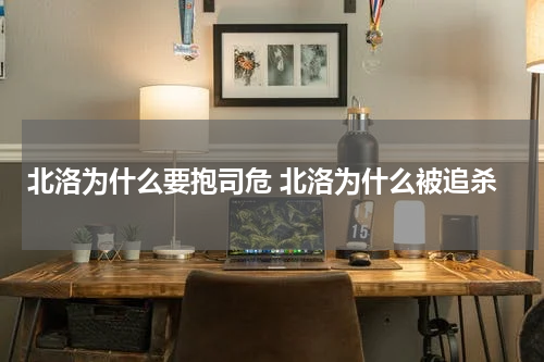 北洛为什么要抱司危 北洛为什么被追杀