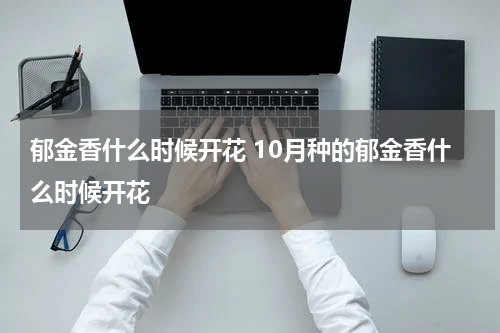 郁金香什么时候开花 10月种的郁金香什么时候开花