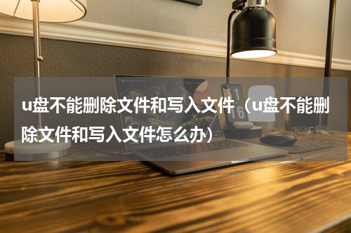u盘不能删除文件和写入文件(u盘不能删除文件和写入文件怎么办)