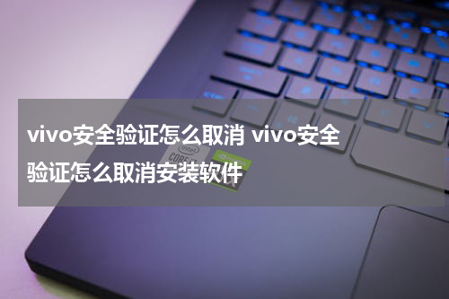 vivo安全验证怎么取消 vivo安全验证怎么取消安装软件