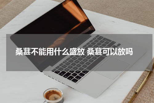 桑葚不能用什么盛放 桑葚可以放吗