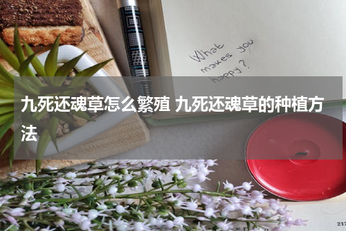 九死还魂草怎么繁殖 九死还魂草的种植方法