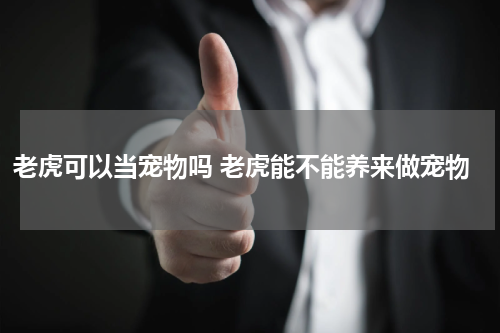 老虎可以当宠物吗 老虎能不能养来做宠物