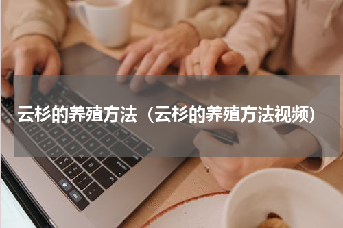 云杉的养殖方法(云杉的养殖方法视频)