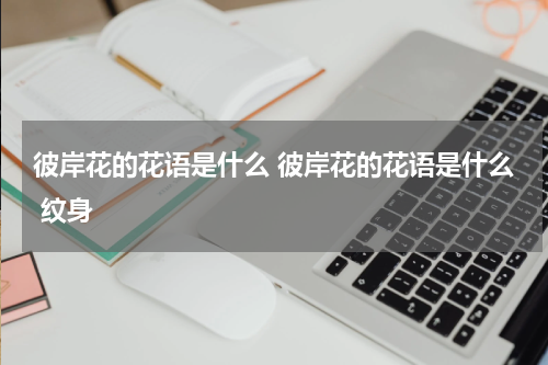 彼岸花的花语是什么 彼岸花的花语是什么 纹身