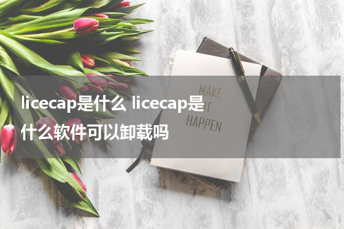 licecap是什么 licecap是什么软件可以卸载吗