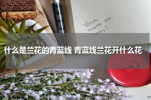 什么是兰花的青蓝线 青蓝线兰花开什么花