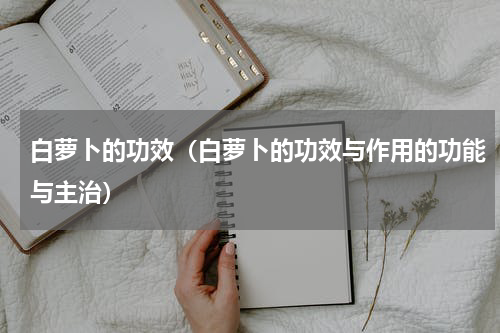 白萝卜的功效（白萝卜的功效与作用的功能与主治）