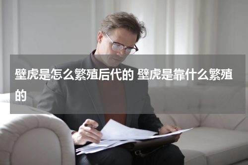 壁虎是怎么繁殖后代的 壁虎是靠什么繁殖的