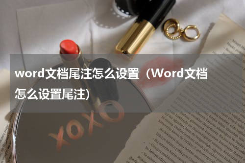 word文档尾注怎么设置(Word文档怎么设置尾注)