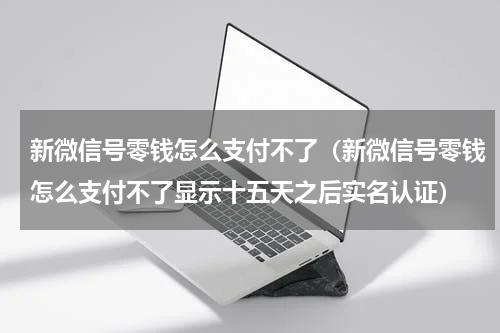 新微信号零钱怎么支付不了(新微信号零钱怎么支付不了显示十五天之后实名认证)