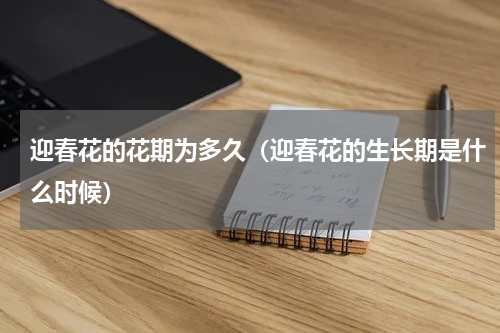 迎春花的花期为多久(迎春花的生长期是什么时候)