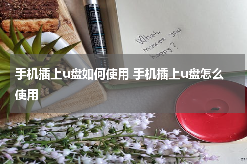 手机插上u盘如何使用 手机插上u盘怎么使用