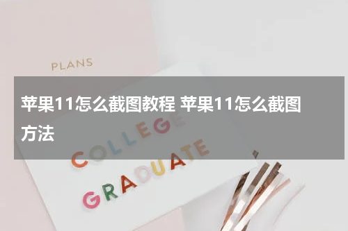 苹果11怎么截图教程 苹果11怎么截图方法