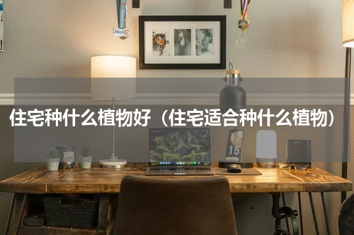 住宅种什么植物好(住宅适合种什么植物)