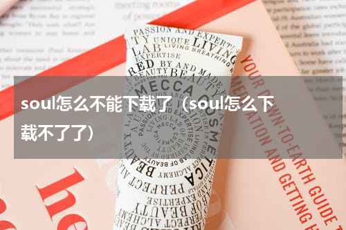soul怎么不能下载了(soul怎么下载不了了)