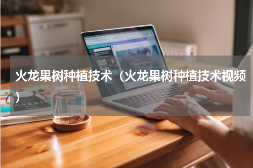 火龙果树种植技术(火龙果树种植技术视频)