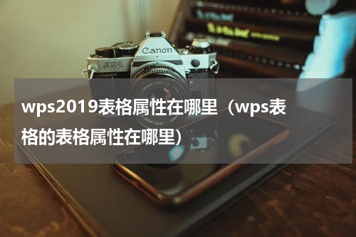 wps2019表格属性在哪里(wps表格的表格属性在哪里)