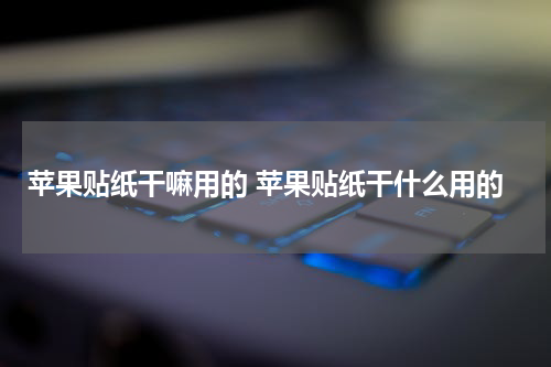 苹果贴纸干嘛用的 苹果贴纸干什么用的