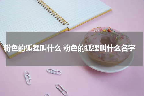 粉色的狐狸叫什么 粉色的狐狸叫什么名字