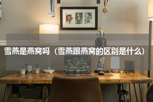 雪燕是燕窝吗(雪燕跟燕窝的区别是什么)