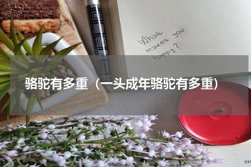 骆驼有多重(一头成年骆驼有多重)
