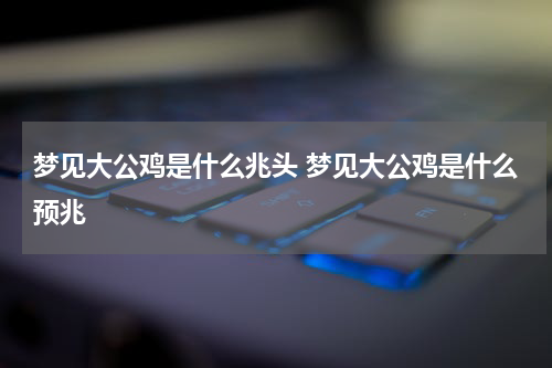 梦见大公鸡是什么兆头 梦见大公鸡是什么预兆