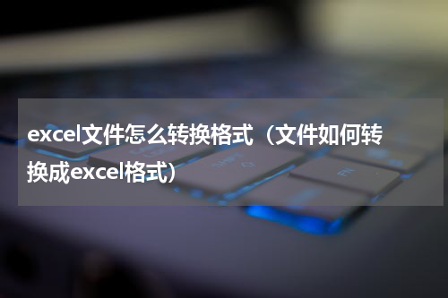 excel文件怎么转换格式(文件如何转换成excel格式)