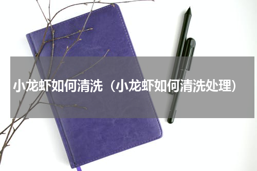 小龙虾如何清洗(小龙虾如何清洗处理)