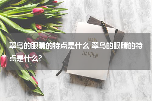 翠鸟的眼睛的特点是什么 翠鸟的眼睛的特点是什么?