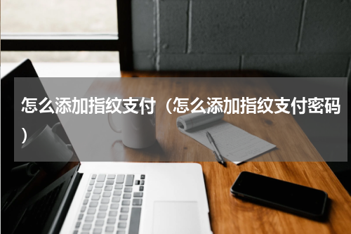 怎么添加指纹支付(怎么添加指纹支付密码)