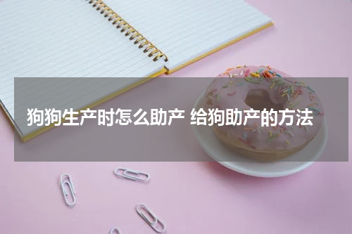 狗狗生产时怎么助产 给狗助产的方法