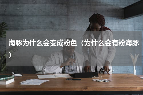 海豚为什么会变成粉色(为什么会有粉海豚)