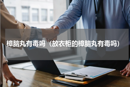 樟脑丸有毒吗(放衣柜的樟脑丸有毒吗)