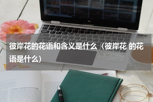 彼岸花的花语和含义是什么(彼岸花 的花语是什么)