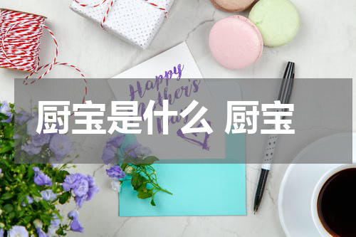 厨宝是什么 厨宝