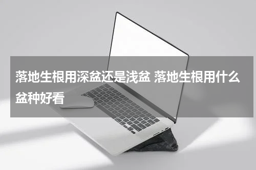 落地生根用深盆还是浅盆 落地生根用什么盆种好看