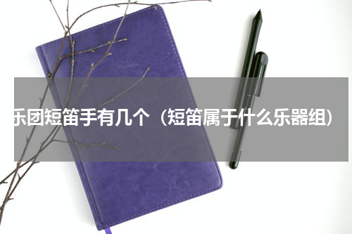 乐团短笛手有几个（短笛属于什么乐器组）